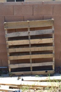 pallet wood photo oh pallet