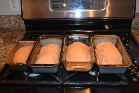 secrets to homemade whole wheat bread, in the pan