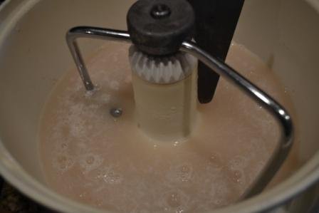 secrets to homemade whole wheat bread, yeast bubbling