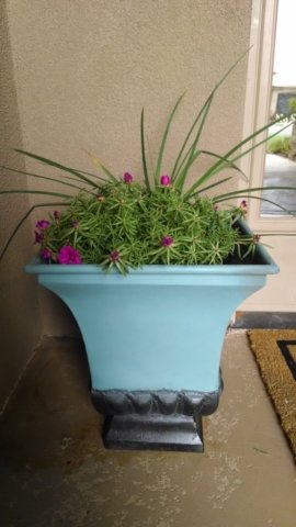 diy spray paint planter pot