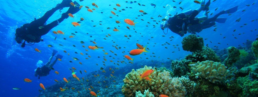 Scuba-Diving-Glovers-Reef-Belize-900x338