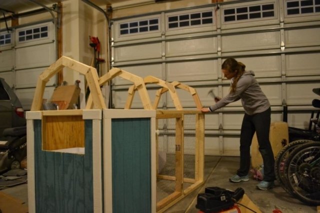 DIY Chicken Coop