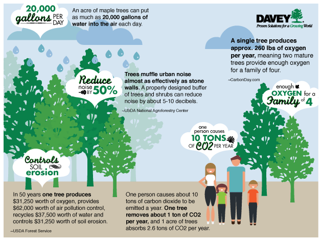 Landscaping chart