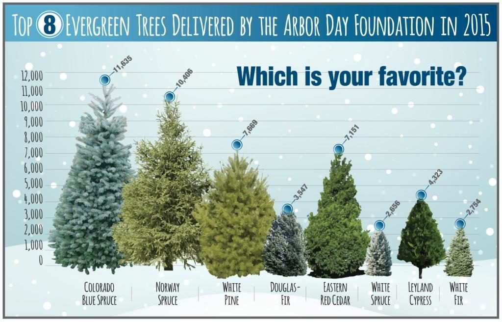 Landscaping trees