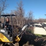 Landscaping Shenanigans